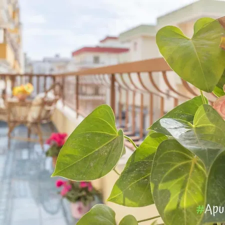 App To Virginia 200mt By Apulia *