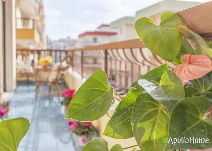 App To Virginia 200mt By Apulia *